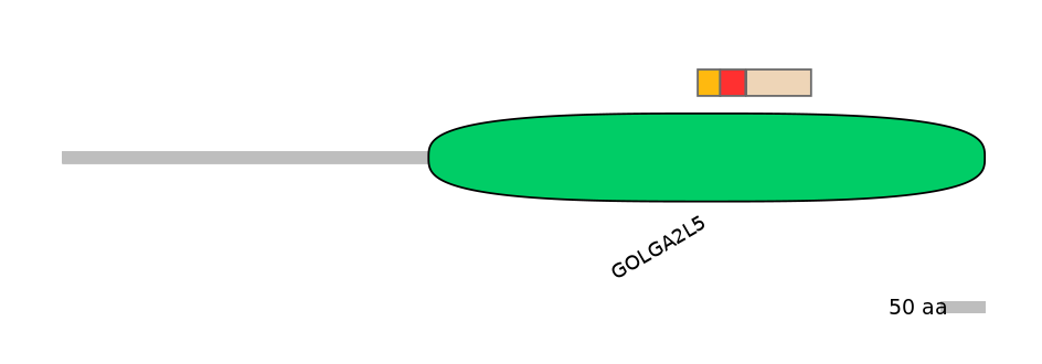 RnoEX6016429-INC