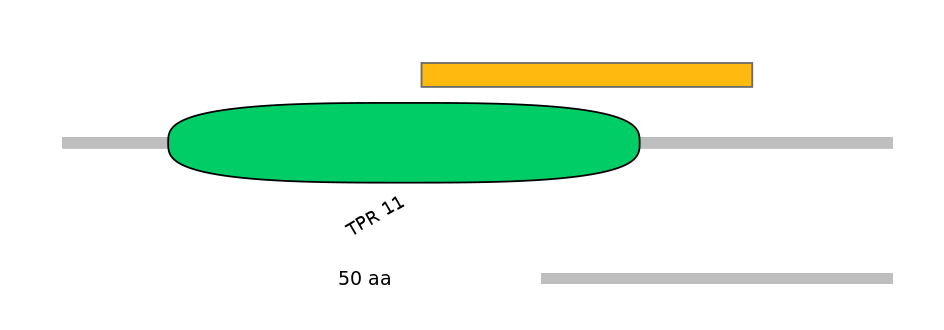 RnoEX6016481-EXC