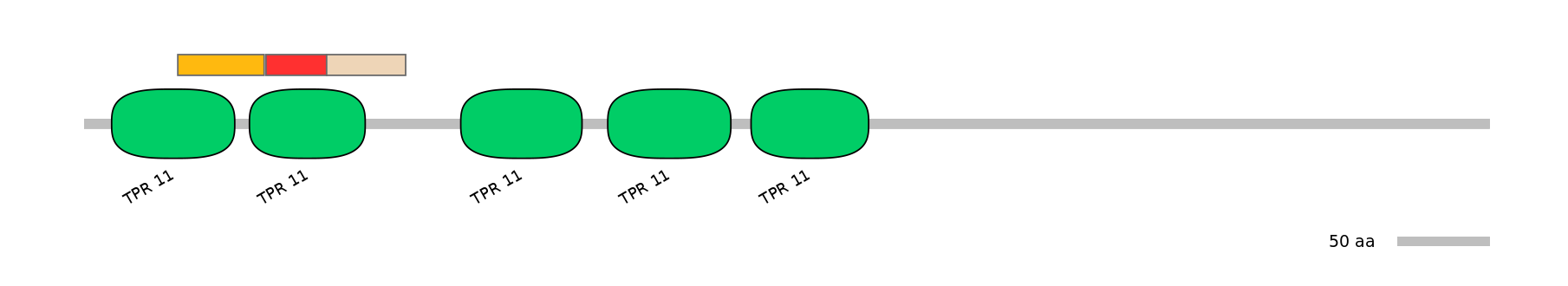 RnoEX6016481-INC