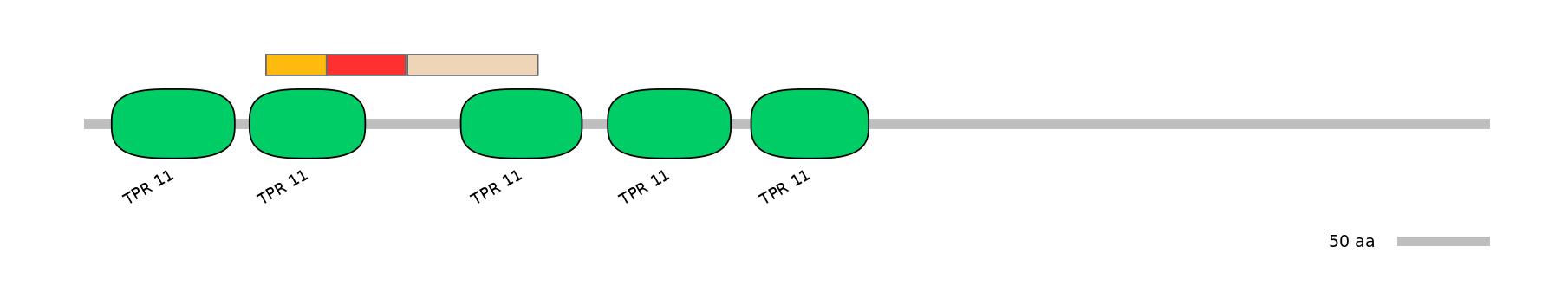 RnoEX6016482-INC