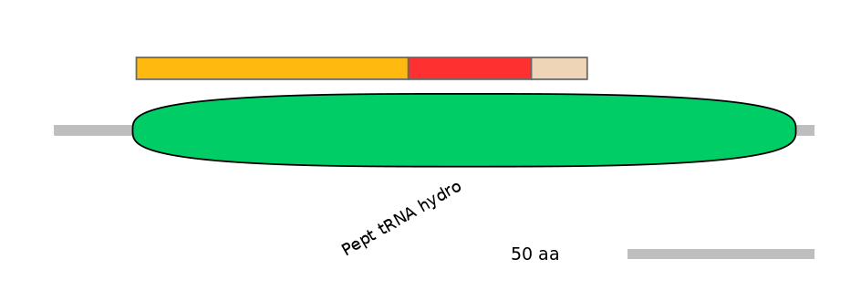 RnoEX6016486-INC