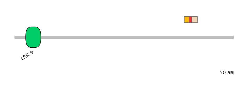 RnoEX6016580-INC