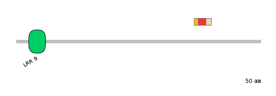 RnoEX6016581-INC