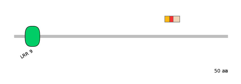 RnoEX6016582-INC