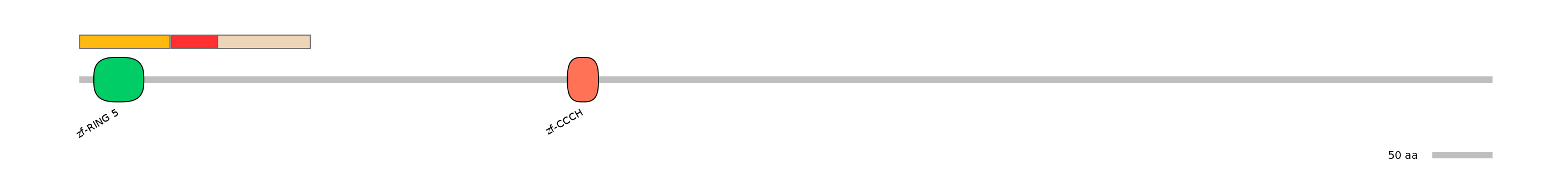 RnoEX6016633-INC