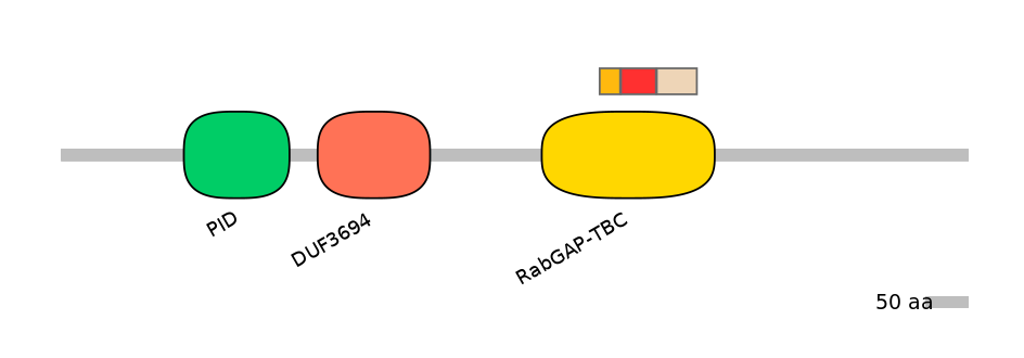 RnoEX6016647-INC