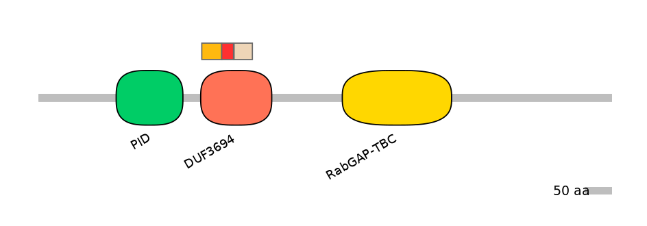 RnoEX6016649-INC