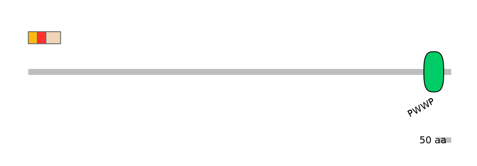 RnoEX6016721-INC