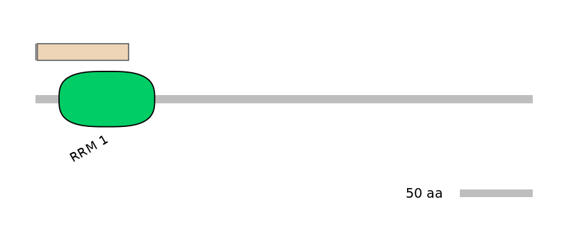 RnoEX6016745-INC