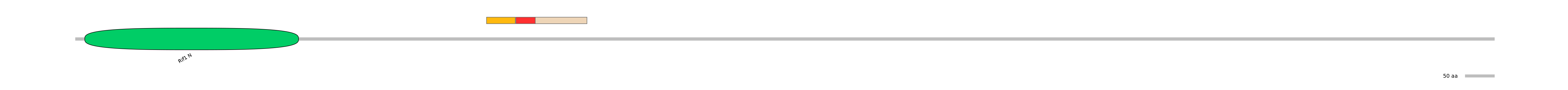 RnoEX6016757-INC