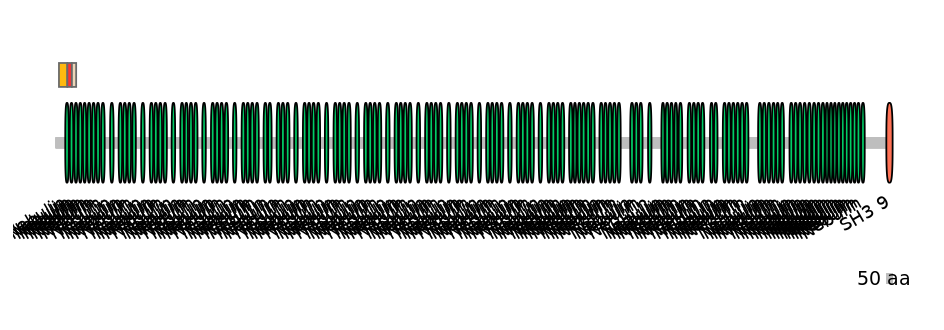RnoEX6016770-INC