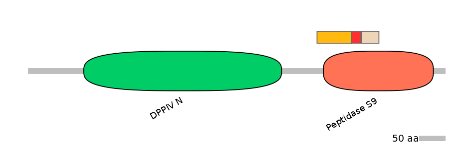 RnoEX6017059-INC