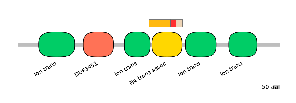 RnoEX6017129-INC