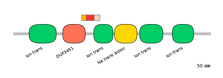 RnoEX6017132-INC