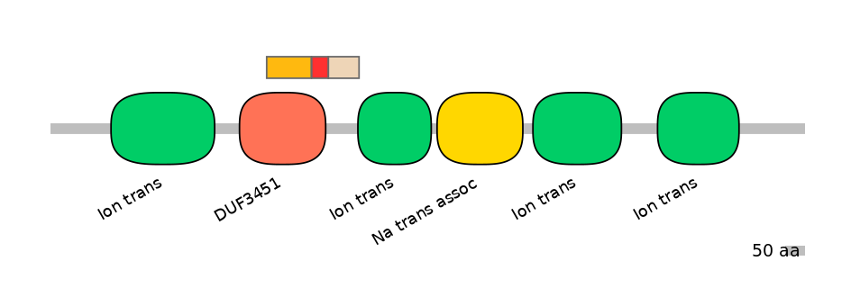RnoEX6017133-INC