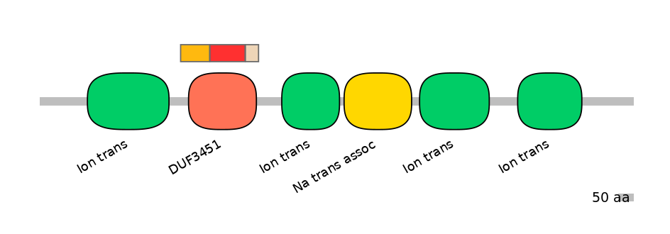 RnoEX6017134-INC