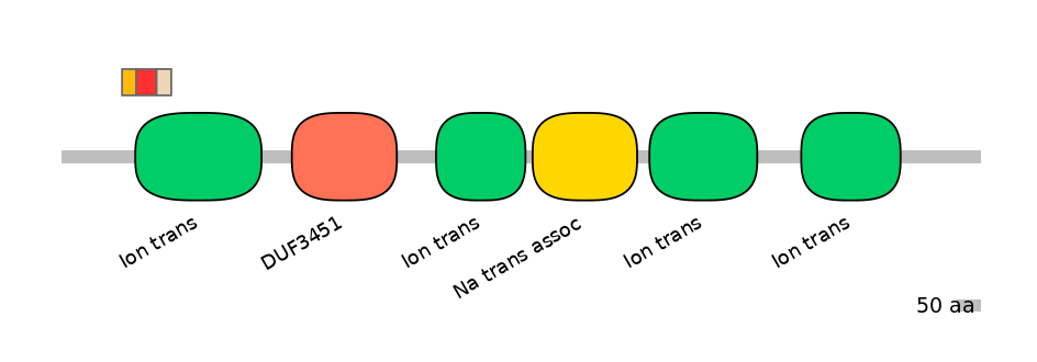 RnoEX6017137-INC