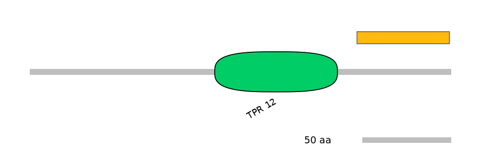 RnoEX6017149-EXC