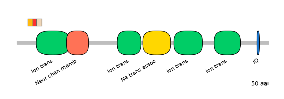 RnoEX6017169-INC