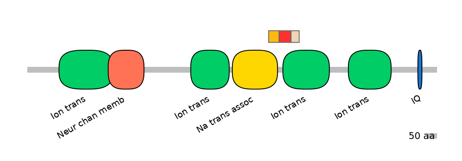 RnoEX6017180-INC