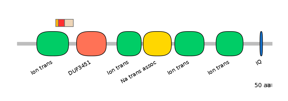 RnoEX6017185-INC
