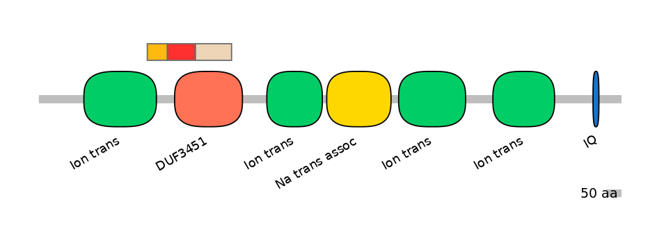 RnoEX6017187-INC