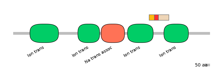 RnoEX6017209-INC