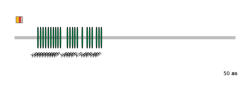 RnoEX6017213-INC
