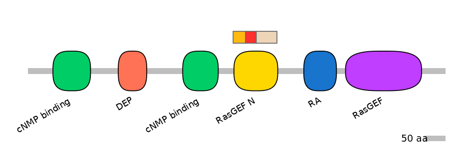 RnoEX6017413-INC