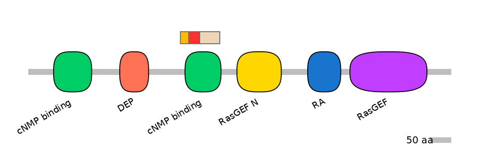 RnoEX6017415-INC