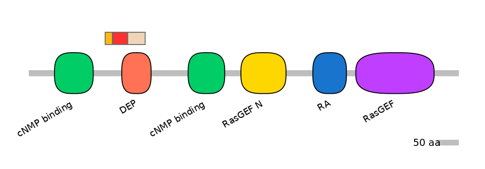 RnoEX6017419-INC