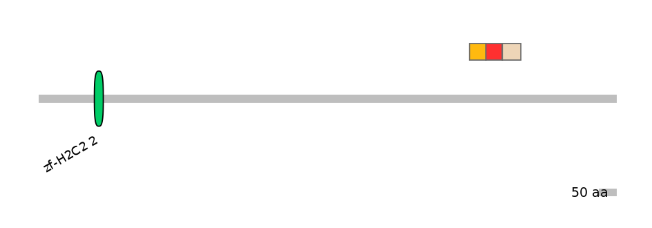 RnoEX6020521-INC