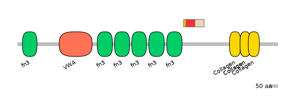 RnoEX6020709-INC