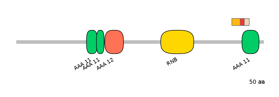 RnoEX6020749-INC