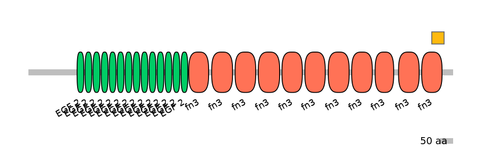 RnoEX6022121-EXC
