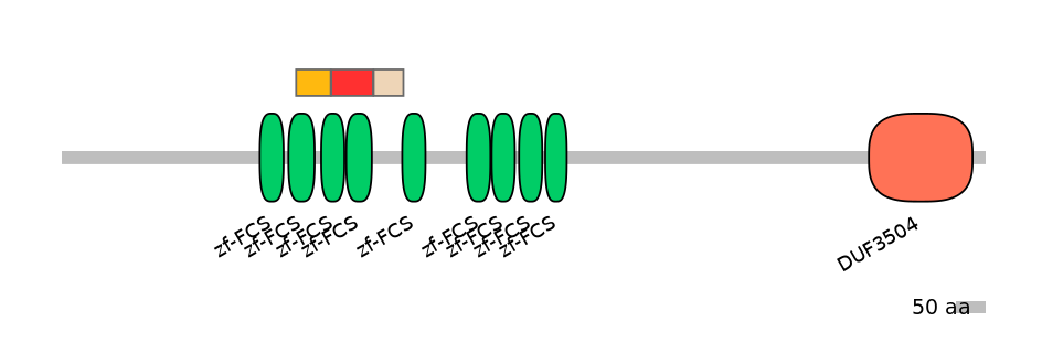 RnoEX6023373-INC