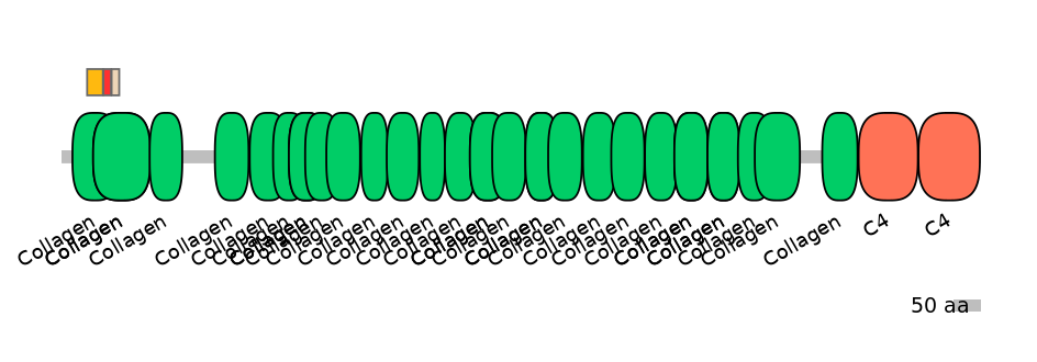 RnoEX6026644-INC