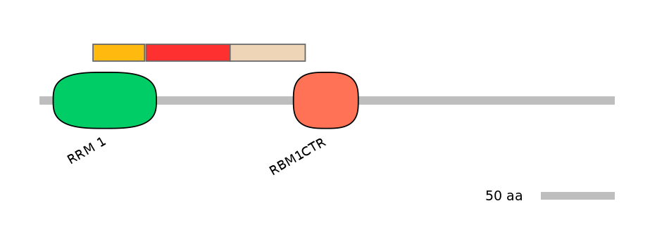 RnoEX6027348-INC
