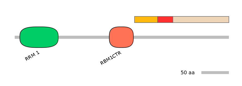 RnoEX6027351-INC