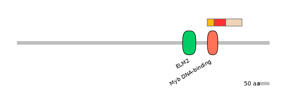 RnoEX6029320-INC