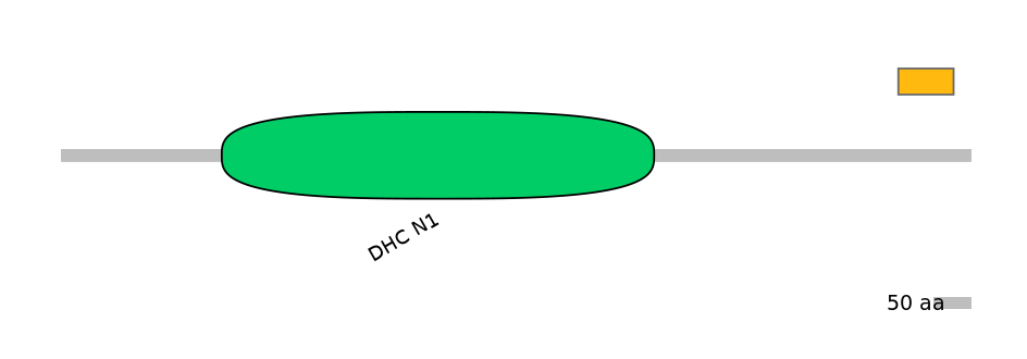 RnoEX6030066-EXC