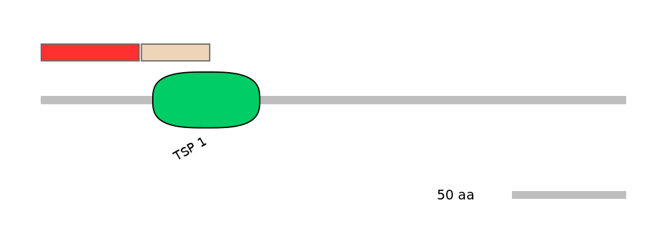 RnoEX6030541-INC