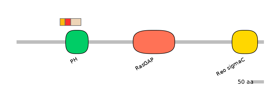 RnoEX6030746-INC