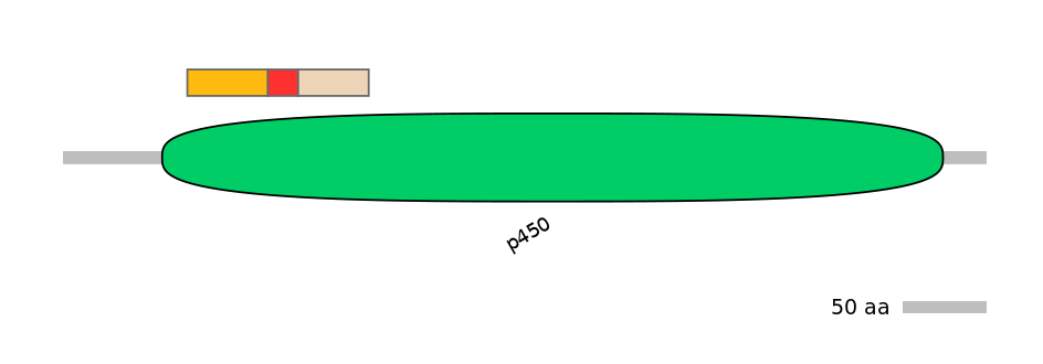 RnoEX6030763-INC