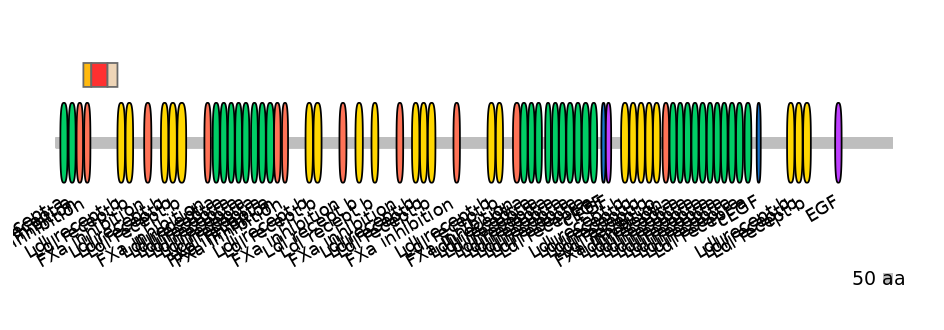 RnoEX6031907-INC