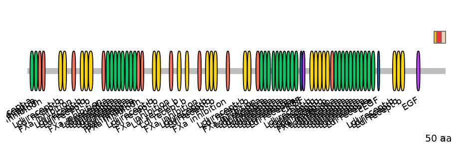 RnoEX6031947-INC