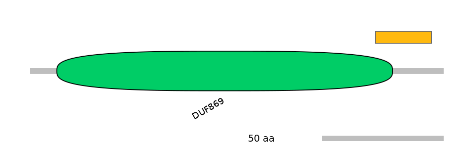 RnoEX6034026-EXC