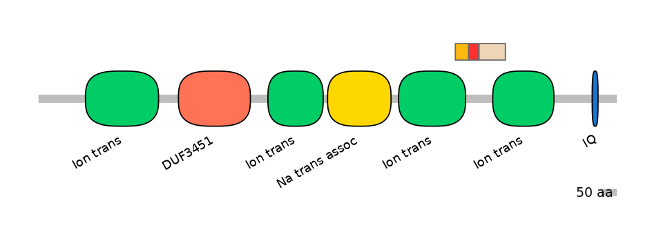RnoEX6034126-INC