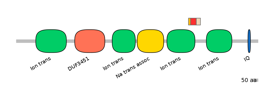 RnoEX6034127-INC
