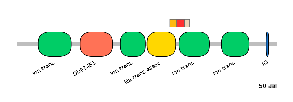 RnoEX6034130-INC